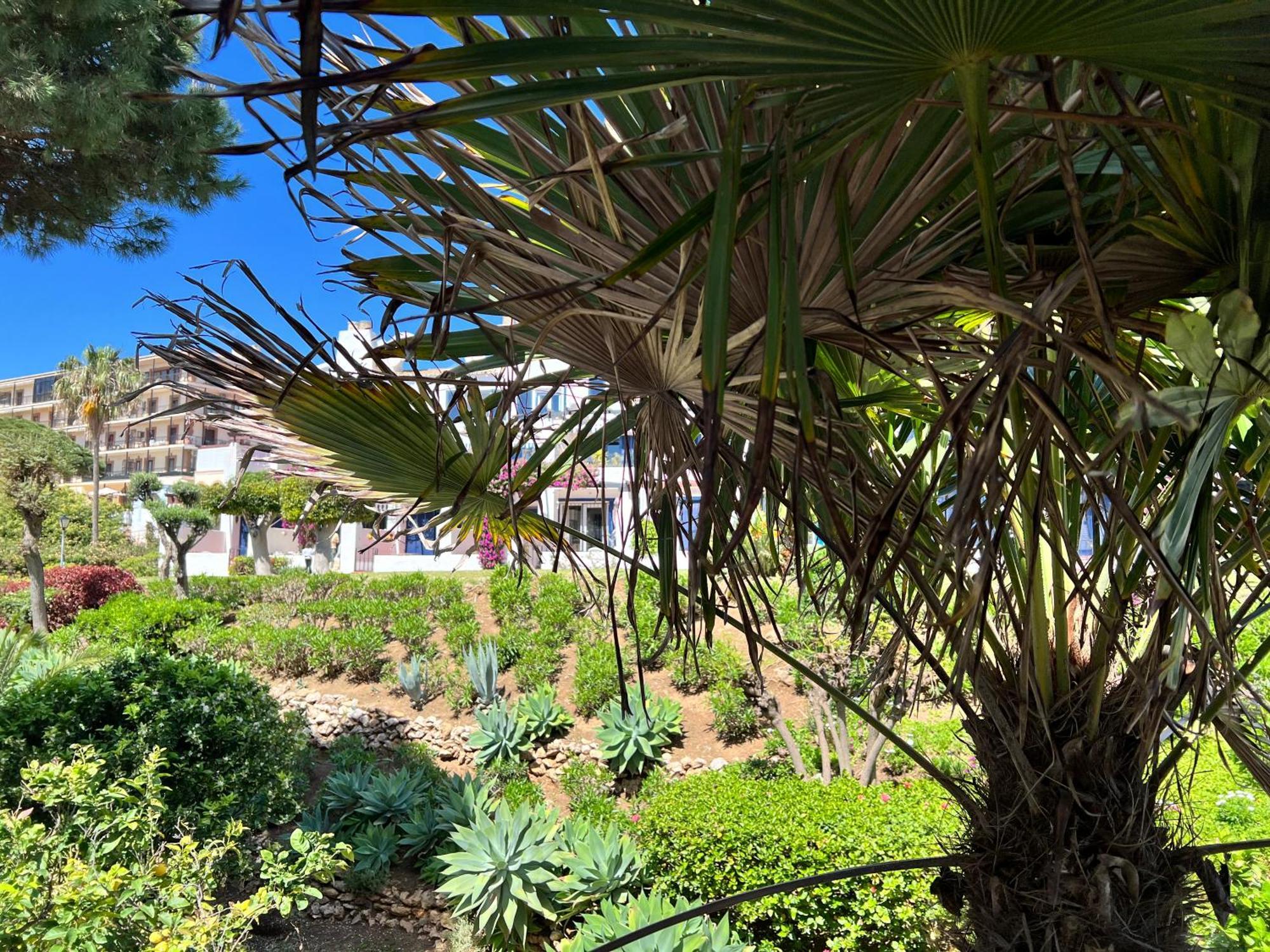 Newly Renovated 2 Bedroom Beachfront House Sitio de Calahonda Buitenkant foto